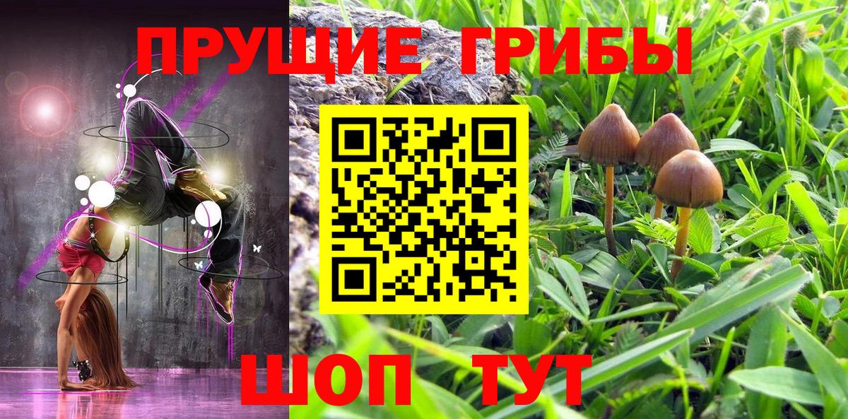 Псилоцибиновые грибы Magic Shrooms Владимир