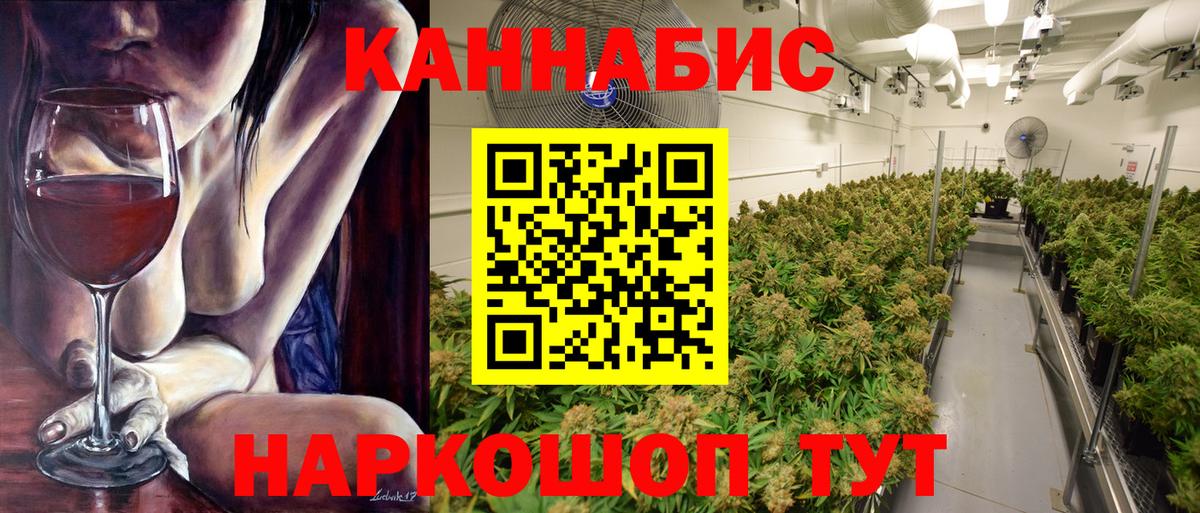 Каннабис сатива  Канабис Amnesia  Владимир  Вход с VPN  Конопля семена 